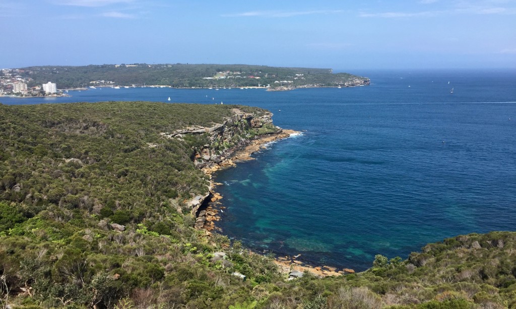 australie-sydney-manly-scenic-walkway-4