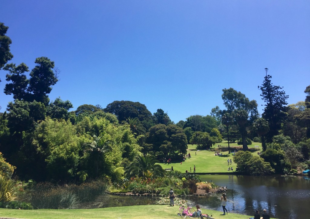 The Royal Botanic Garden